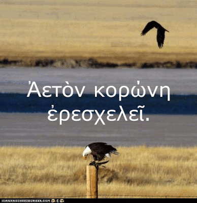 Ἀετὸν κορώνη ἐρεσχελεῖ.Aquilam cornix lacessit.The crow is taunting the eagle.(From Bestiaria Latina