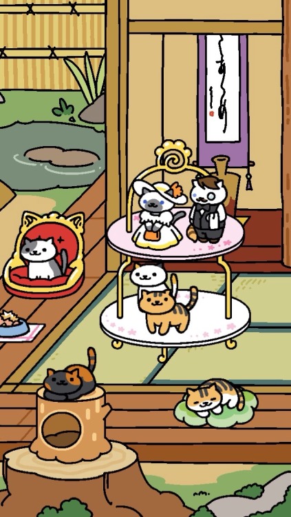 wain-scoting:Jeeves and Sapphire! New in Neko Atsume!