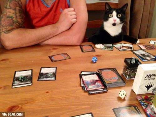 maelstrom87:  tezzeret-the-blogger:  grazzlebrand:  ninjabithc:  I found my new double headed giant partner.  WhERE ArE yOUR SLEEEvES???!!!!  The cat looks shocked  Someone just countered him with a force of will