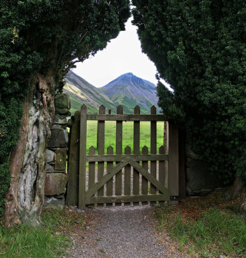 photowilliams:Gateway to the MountainAncient Yew trees frame Scafell Pike. Wasdale. Cumbria. UK.