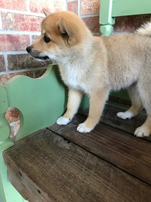 darkvioletcloud:Here she is!!!