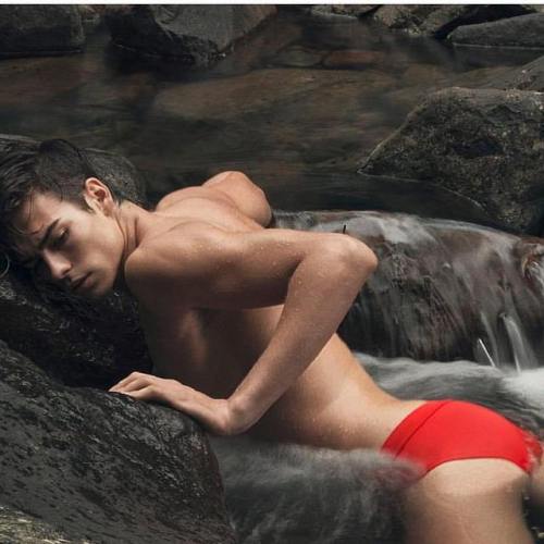 Speedo Celebration