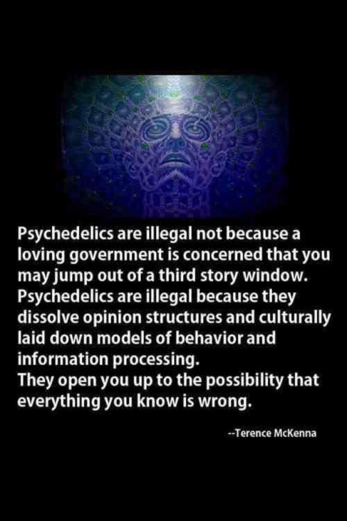dreadcoretryptamine: Think outside of the box.open your mind!