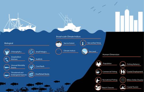 noaasanctuaries: The National Marine Ecosystem Status web portal is live! This new tool shows the st