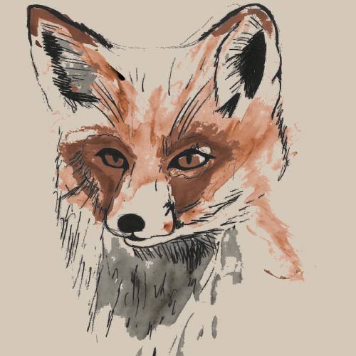 Fox Made With Multiple Layers Of #watercolour With Detailed Layer Of #pen On Top. Everything Put Together