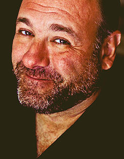 glamorncruelty-blog:  RIP James Gandolfini 1961 - 2013 James Gandolfini, whose portrayal of a brutal, emotionally delicate mob boss in HBO’s The Sopranos helped create one of TV’s greatest drama series and turned the mobster stereotype on its head,