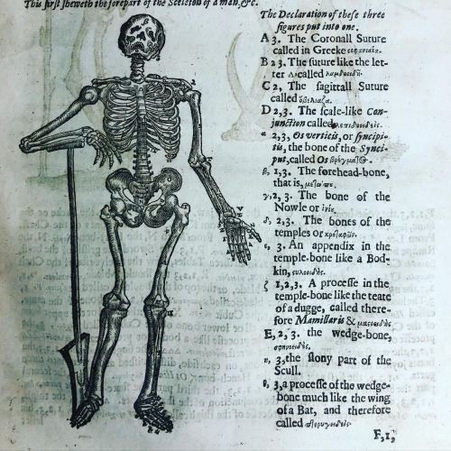 librarycompany:Some Wednesday moods: us at 9am vs us at 5pm.Dramatic skeletons from The workes of th