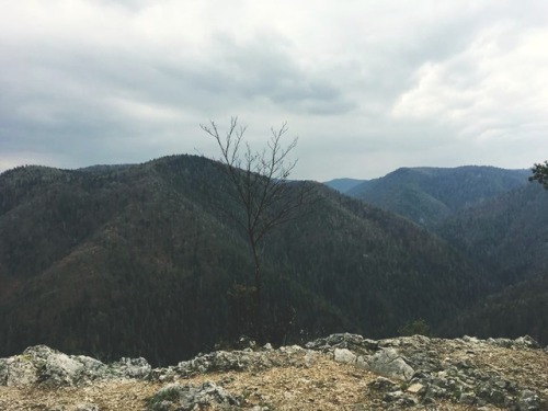 Spring IIAprilHaving real sarcastic fun in Slovak paradise National park. BTW: I discovered my 