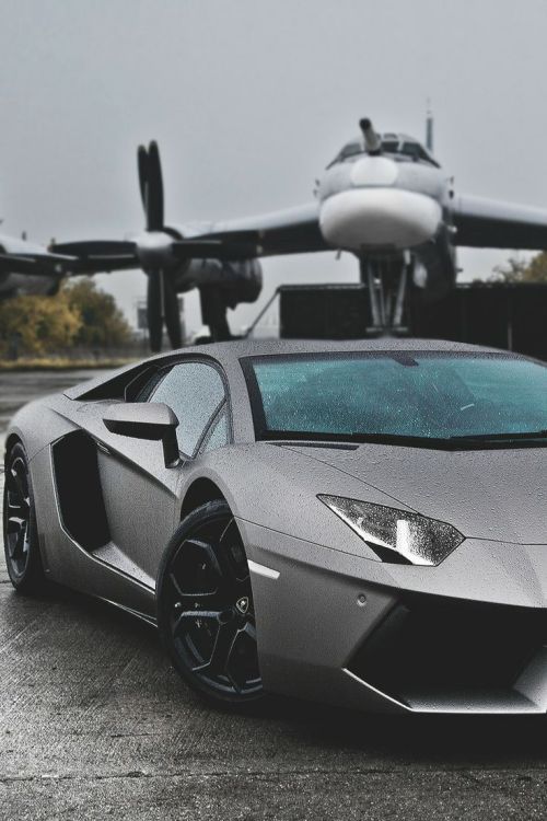 Eyes to the Skies