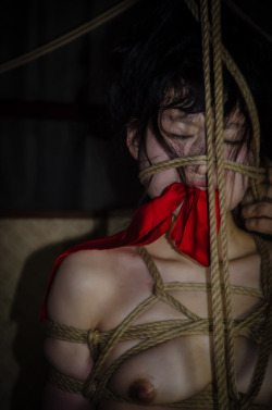 123avalon:  Model: Itsuka - Rope: Avalon - Photo: Janusz Swiat - Studio SIX, Tokyo