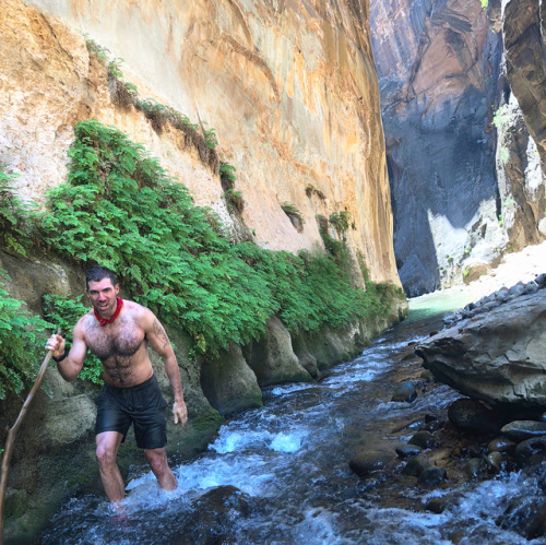 Hiking up the Virgin River. . . #zionnationalpark #utah #takeahike #hike #findyourpark #river #water