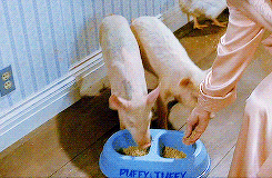 allaboutcilla:  Priscilla Presley in The Naked Gun 2½: The Smell of Fear, 1991.