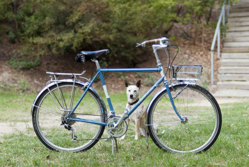 therubbishbin: A Homer Hilsen - GGRBWOB drive-side shot with Ginger by cat1788 on Flickr.
