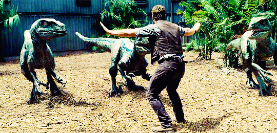 Jurassic World — “Blue, stand down. Delta, I see you, back up....