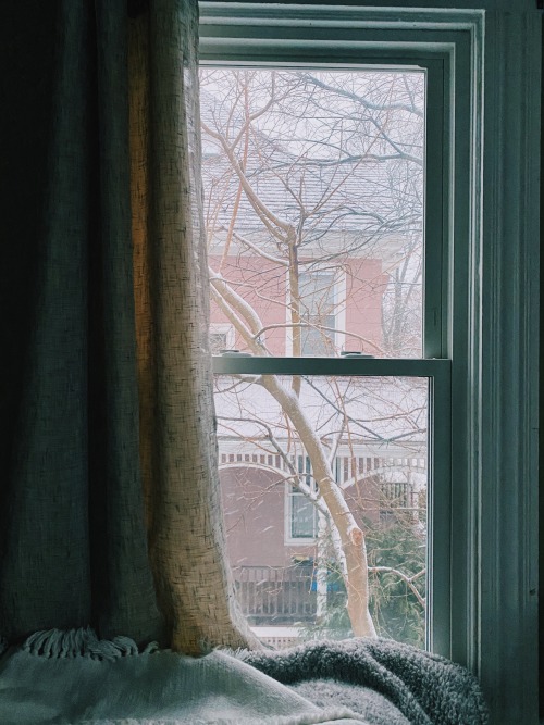 Snow day triptych 