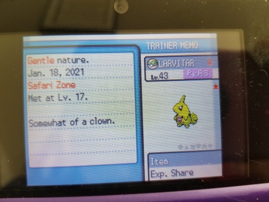 how to use rng reporter for cute charm how to use rng reporter for cute charm