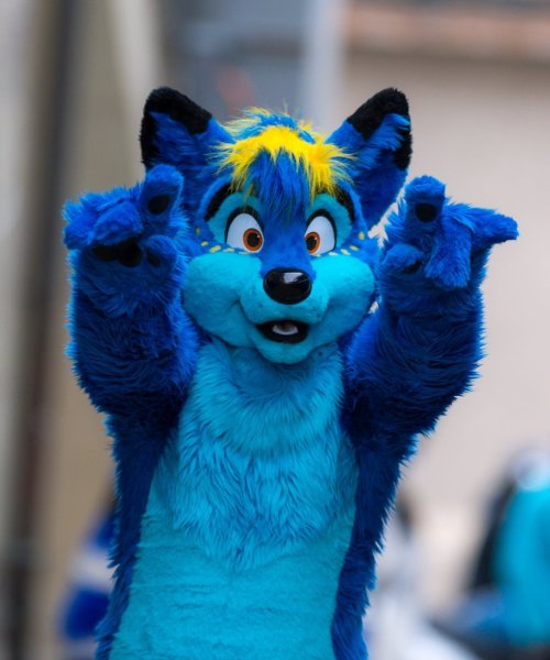 Suit owned by Math Wufky Made by Fursuiting.com