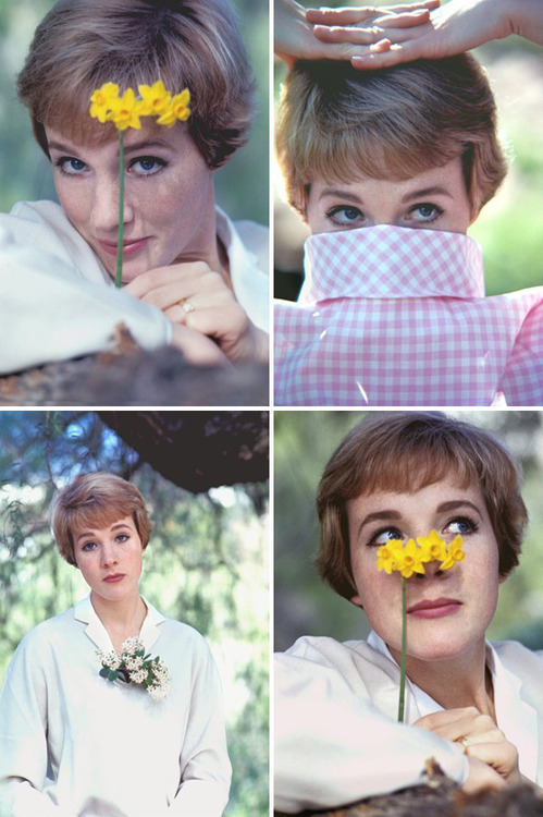 imitationoflife93: Julie Andrews