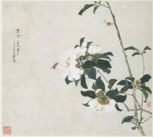 heaveninawildflower:Insects and Flowersby Ju Lian (Chinese, 1828–1904).Album of eight leaves; ink an