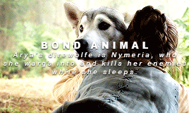 asongoficeandfiresource:Baela Targaryen || Arya Stark: Parallels