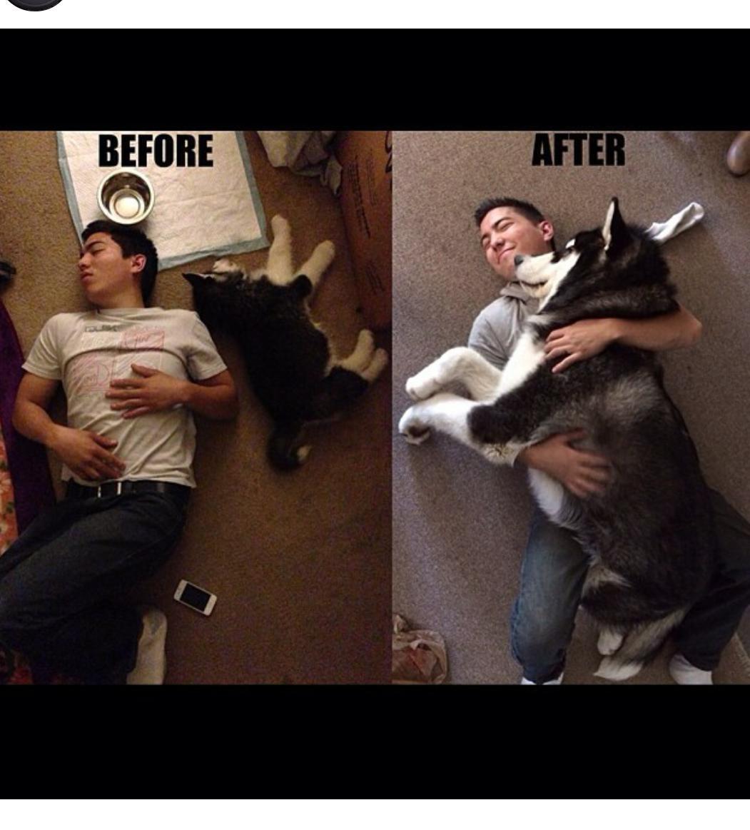 awwww-cute:  2 months vs 7 months comparison 