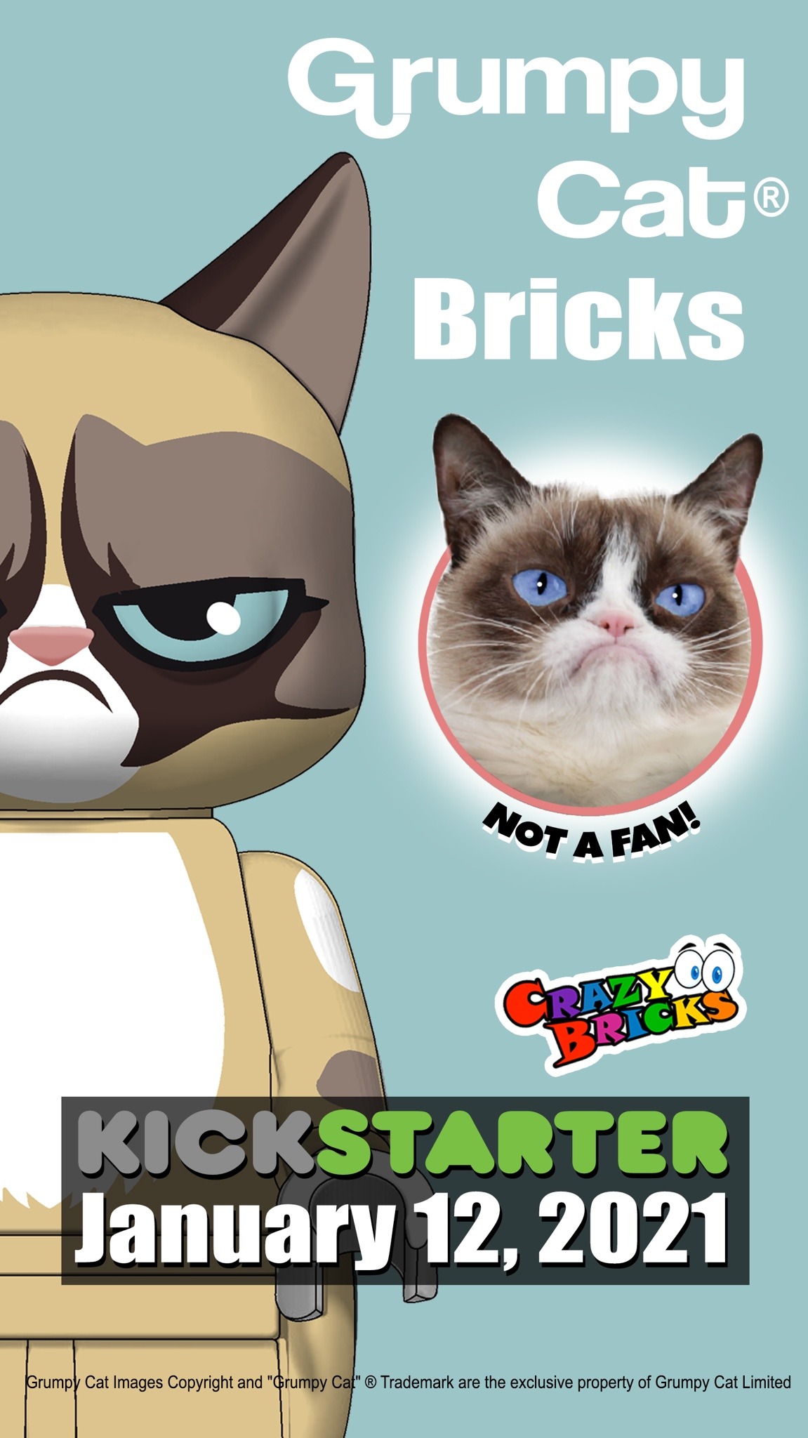 Coming soon: Grumpy Cat® Bricks