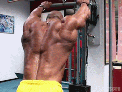 liftinmotivation:  liftinmotivation