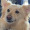 laugh-addict:  everytime i hear the name cynthia i just 