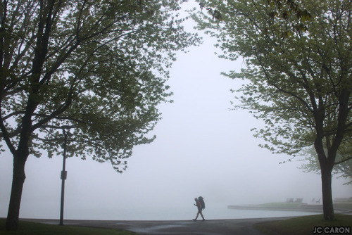  Brouillard épais ce matin à Montréal… Heavy fog this morning in Montréal… 