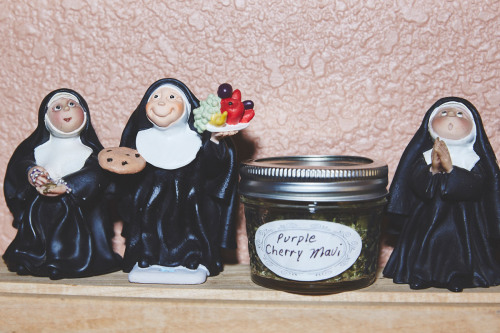 kid4satan:thingstolovefor:“Sisters of the Valley” a Group of Nuns who Grow Weed “S