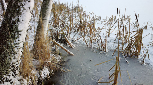 By the lake Ahvenisjärvi by KamalaKala on Flickr.