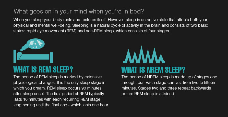 neuromorphogenesis:  The Science of Sleeping Ever wondered what goes on in your brain