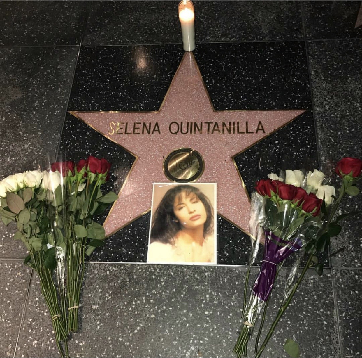 Selena Star Pics