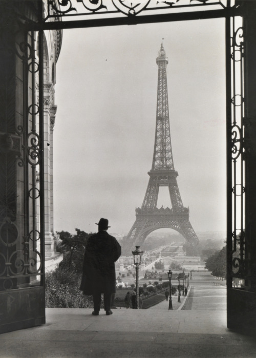 Man looks out on the Eiffel Tower.Photograph by Clifton R. Adams, National Geographic