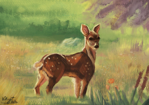 Deer study ;)