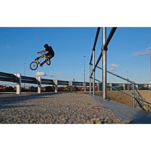 focalpointbmx:  #photooftheday #ryanlloyd #bmx shot by dave rubinich
