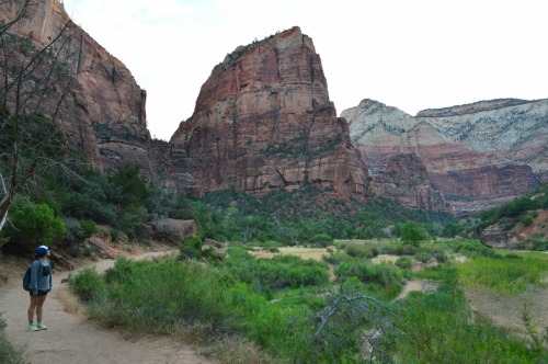 Zion National Park • Angel’s Landing Trail • Utah This morning was great. We woke up