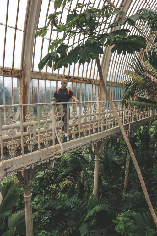 kew gardens