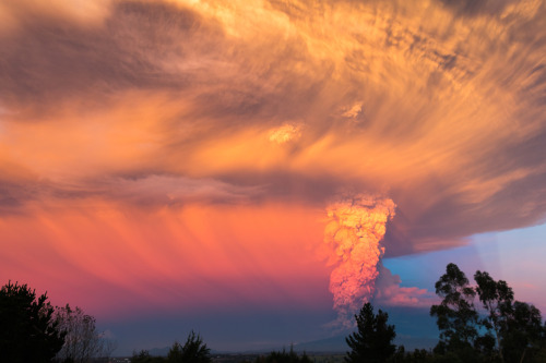 softwaring:  Roger Smith - Calbuco Volcano erupting viewed from Puerto Varas, Chile