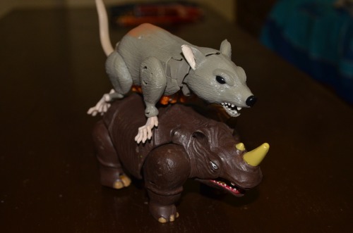 Another batch of pics of generations Rattrap. And a digibash of the toy with improved colours.