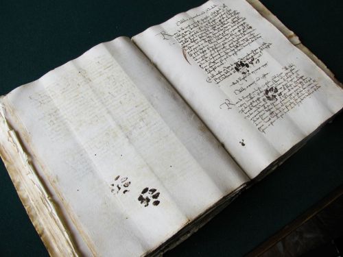 libraryoftheancients:openinkstand:Inky paw prints presumably left by a curious kitty on a 15th centu