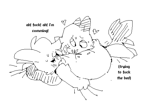 oriole’s blog