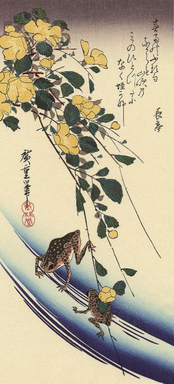 Hiroshige - Yellow Rose (Yamabuki) and Frogs (1835)
