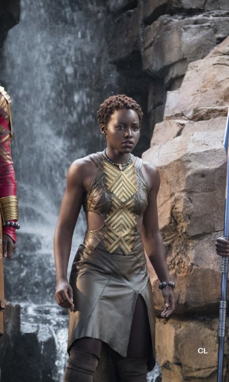 costumeloverz71: Nakia (Lupita Nyong’o) Brown/Gold Warrior Outfit. Black Panther (2018). Costu