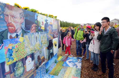 cctvnews:  125,000 sunflowers in memory of Van Gogh A labyrinth of 125,000 sunflowers has been set u