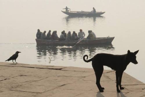 semioticapocalypse: Sergey Maximishin. Varanasi, India. 2013 [::SemAp FB || SemAp G+::]