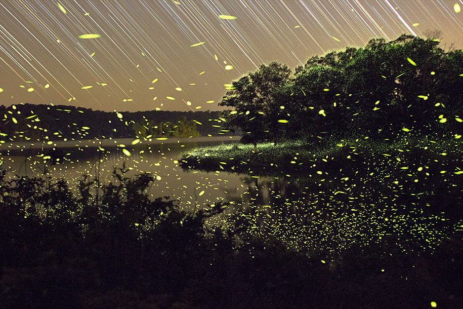 slowartday:  Long-exposure photography by Vincent Brady 