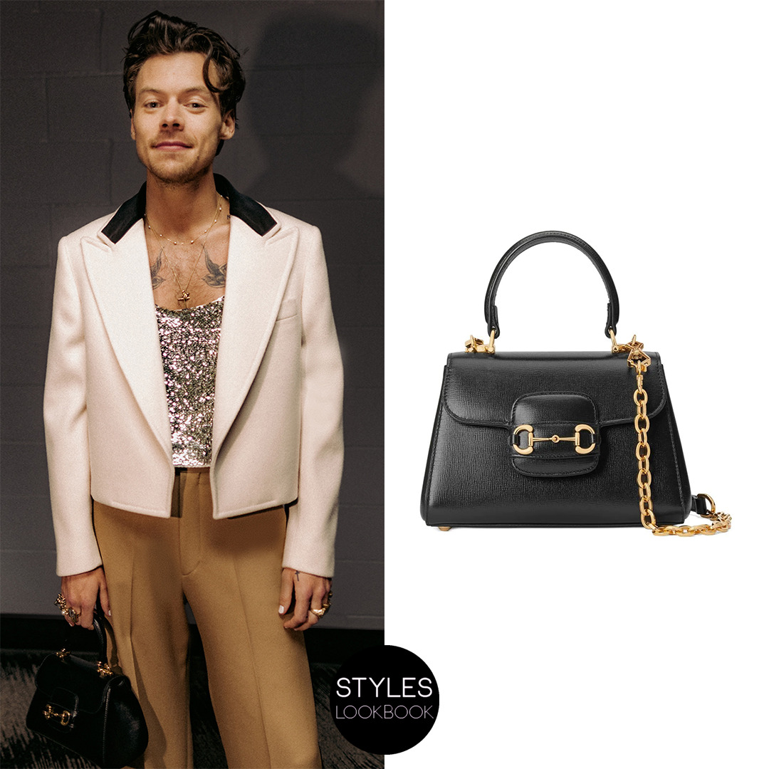 Harry Styles Lookbook — Backstage At The Grammys, Harry Accessorized His...