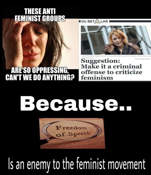 ryanthepc:  More montage! Your daily reminder that Feminism is rife with bullshit, especially 3rd wave. 