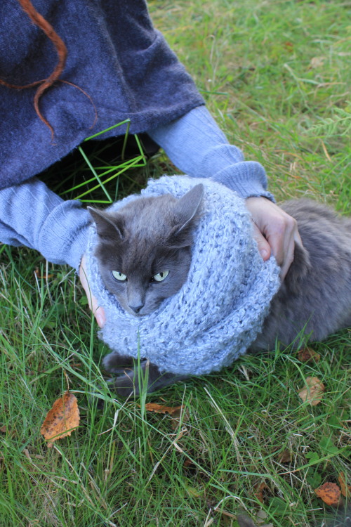 localbirdprince:LOOK AT THE TOE BEANS! And also this cat looked better in my clothes than me